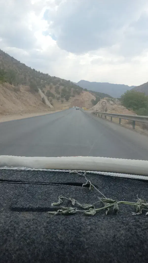 گوشی گم شده|موبایل|آبادان, |دیوار