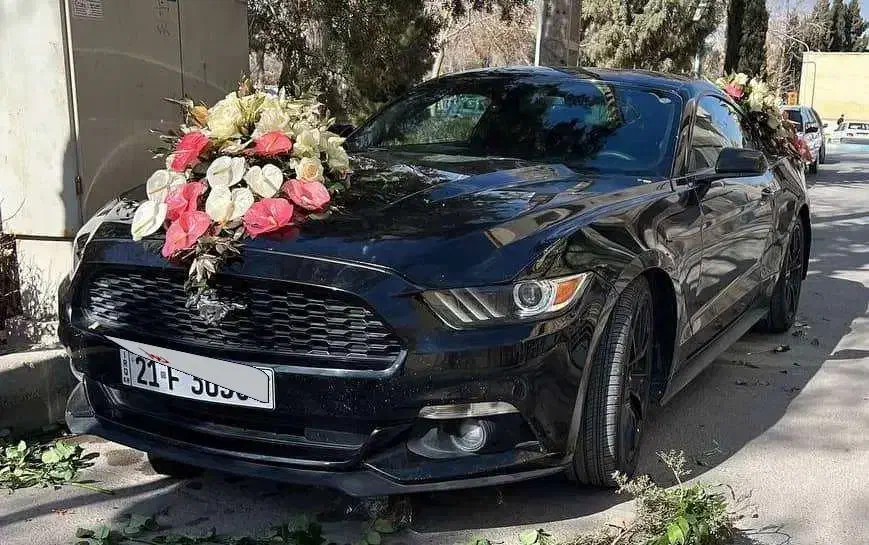 اجاره موستانگ/اجاره ماشین عروس/کرایه ماشین عروس|خودرو اجاره‌ای|اصفهان, باغ زیار|دیوار