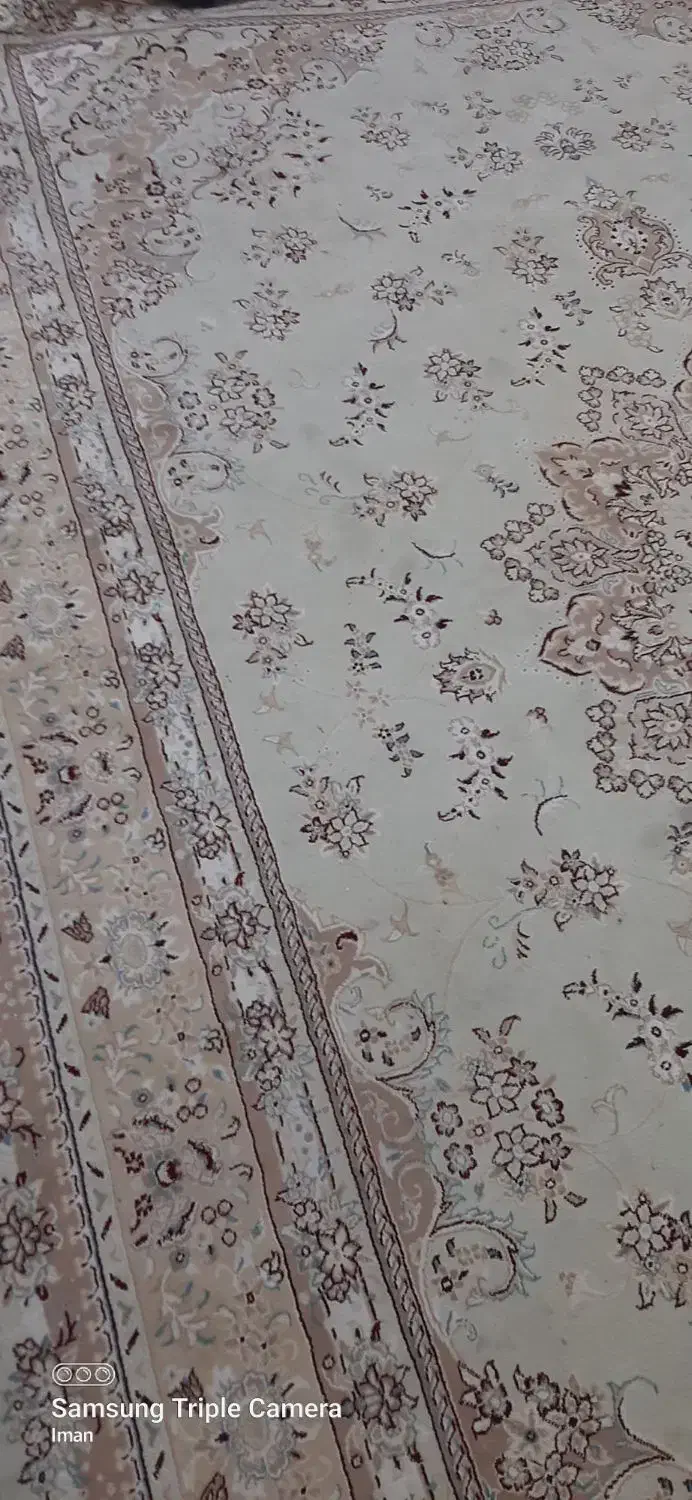 فرش|فرش|اسلام‌شهر, شهرک قائمیه|دیوار