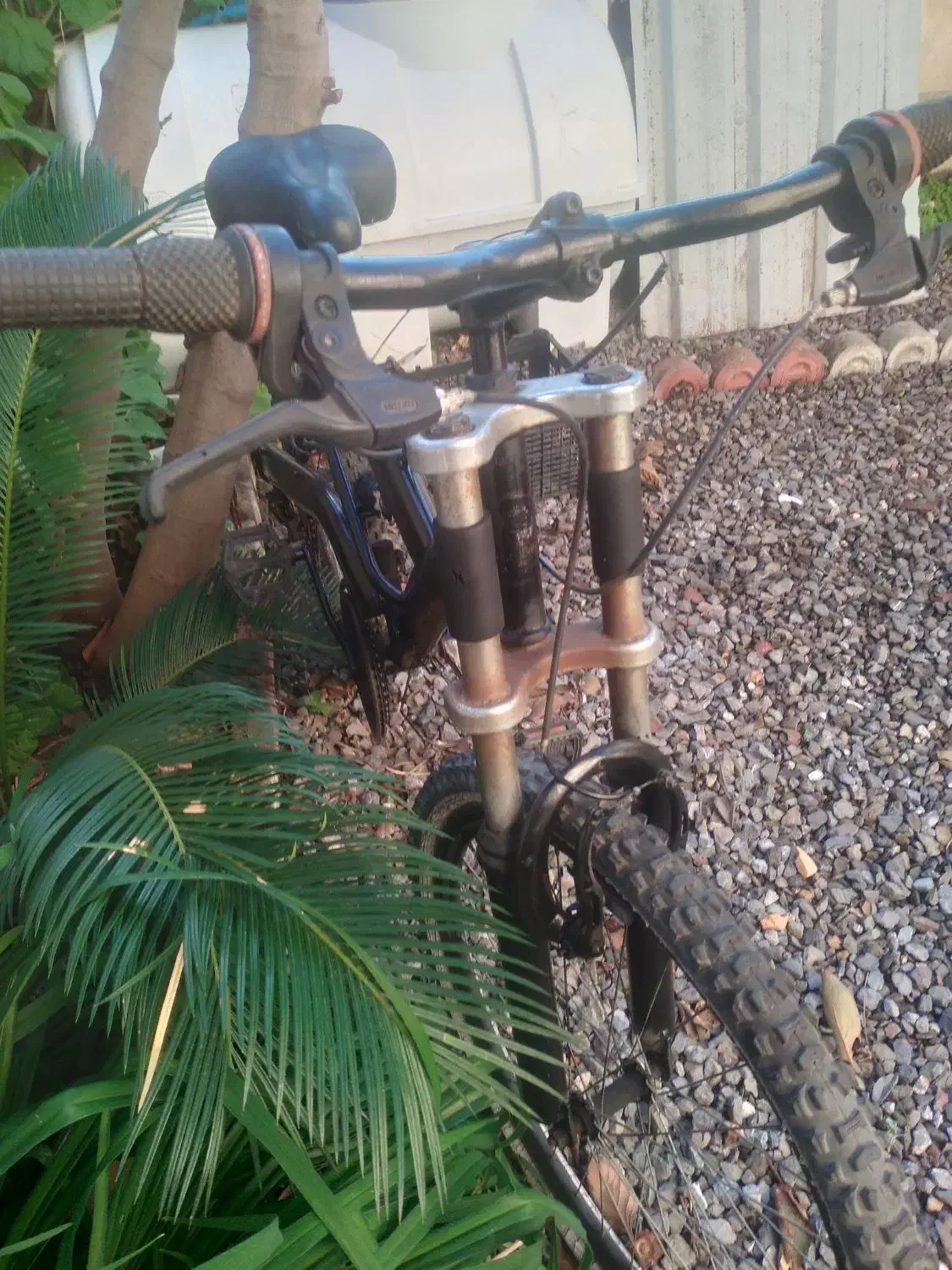 دوچرخه|دوچرخه، اسکیت، اسکوتر|نوشهر, |دیوار