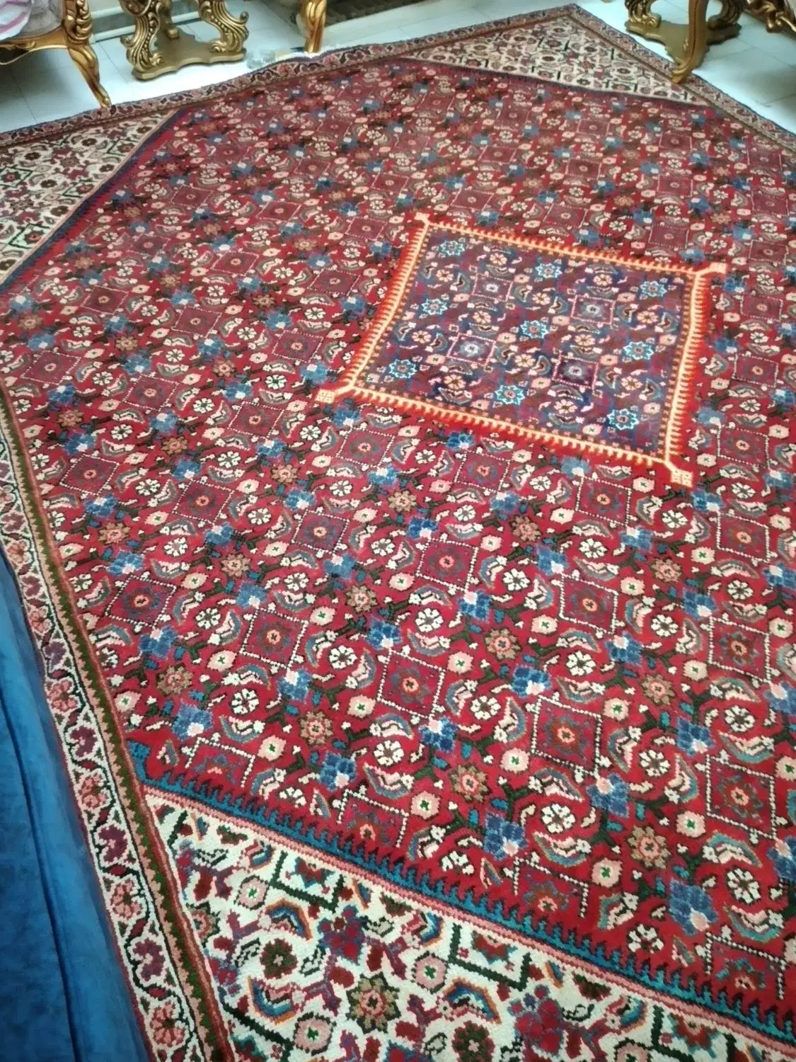 فرش ۶ متری دستبافت|فرش|تهران, سردارجنگل|دیوار