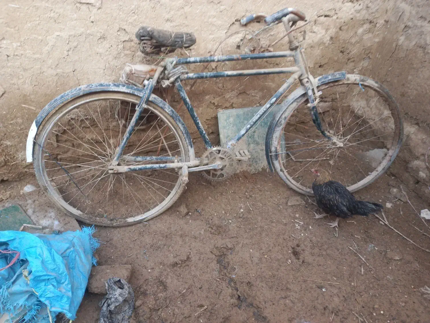 دوچرخه|دوچرخه، اسکیت، اسکوتر|بجنورد, |دیوار