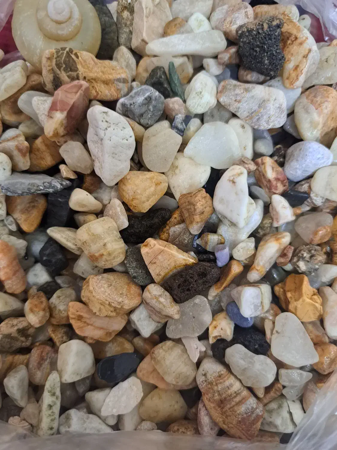 سنگ ماهی|ماهی|اصفهان, مسجد مصلی|دیوار