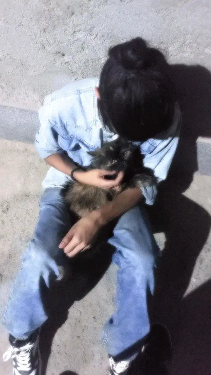 گربه گم شوده|حیوانات|زاهدان, |دیوار