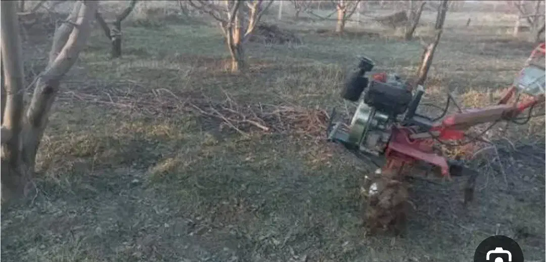 شخم زنی درختان با قیمت مناسب|خدمات باغبانی و درختکاری|میانه, |دیوار