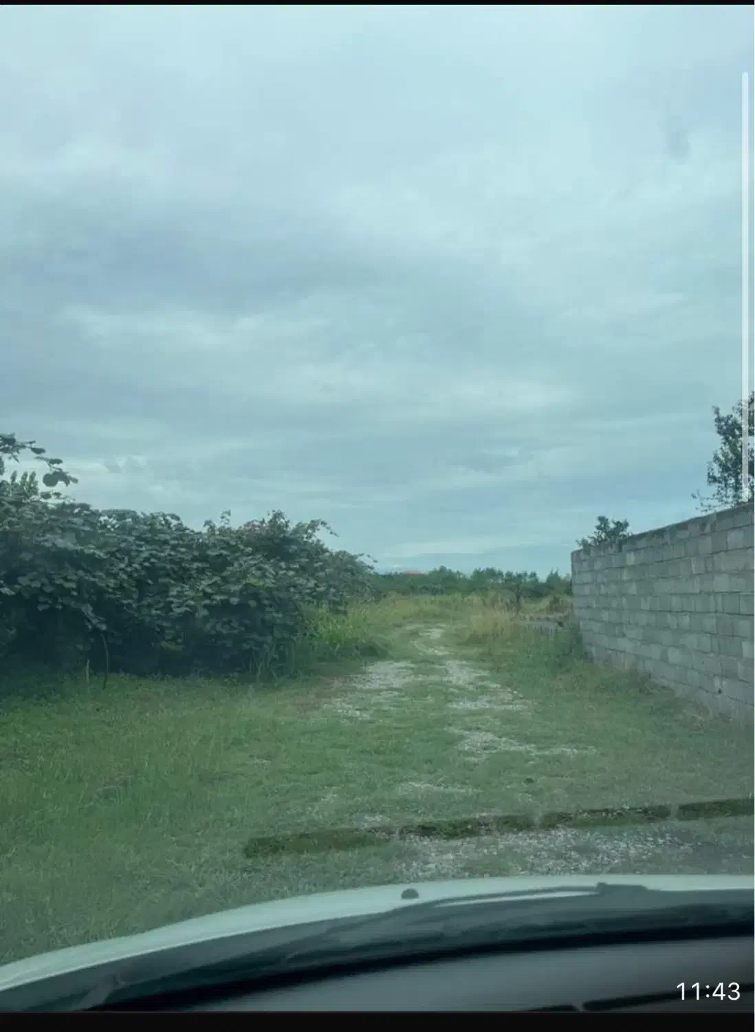 زمین اکازیون|فروش زمین و ملک کلنگی|نشتارود, |دیوار