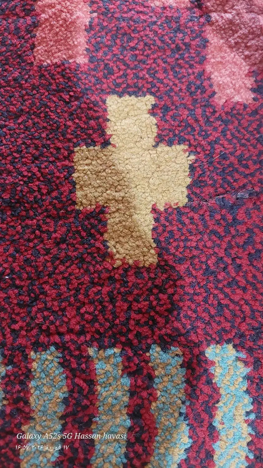 طلای کمشده|اشیا|ایلام, |دیوار