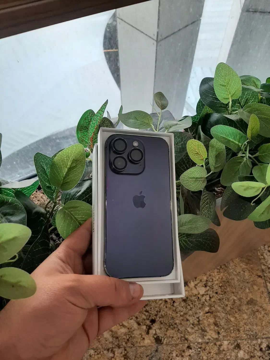 ۱۴ پرو با ریجستری|موبایل|تهران, گلستان (شهرک راه آهن)|دیوار