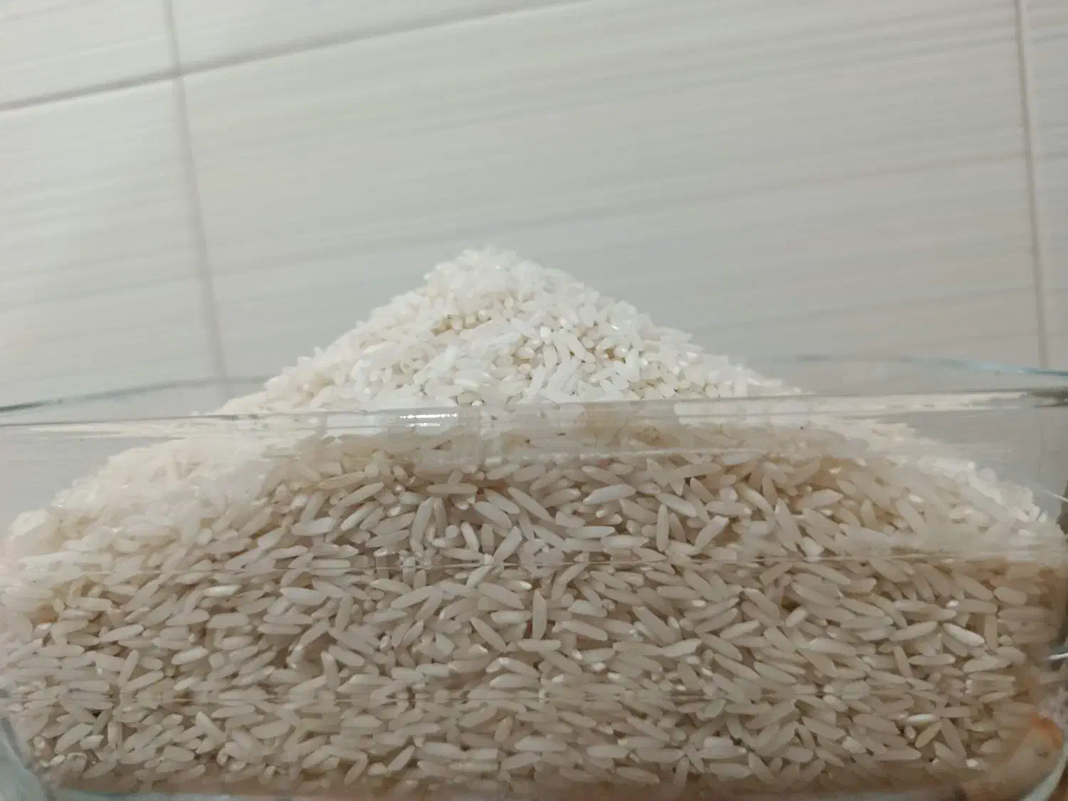 فروش برنج حلال از تولید به مصرف|خوردنی و آشامیدنی|بندر گز, |دیوار