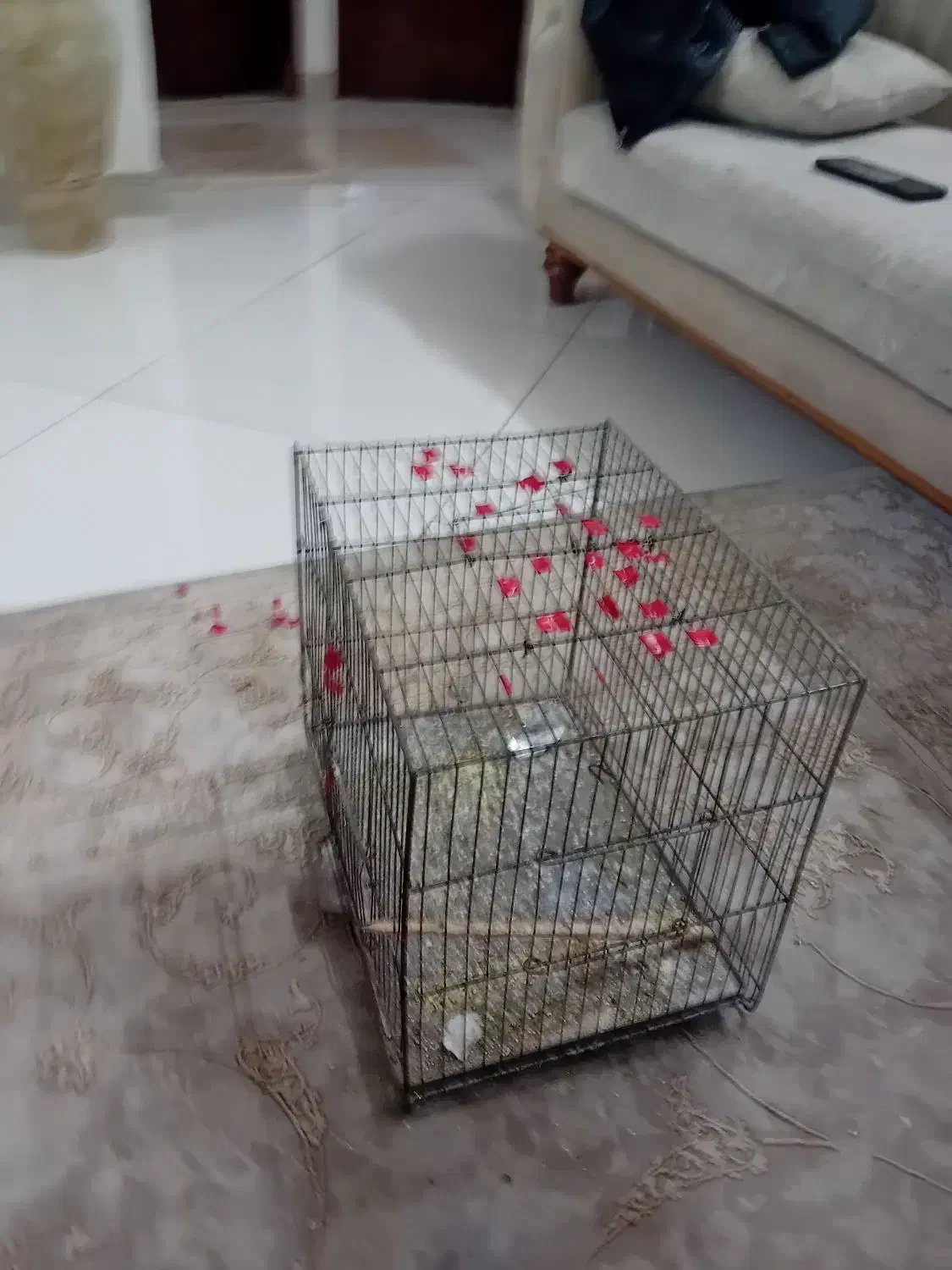 قفس|لوازم جانبی حیوانات|مشهد, نظام دوست|دیوار