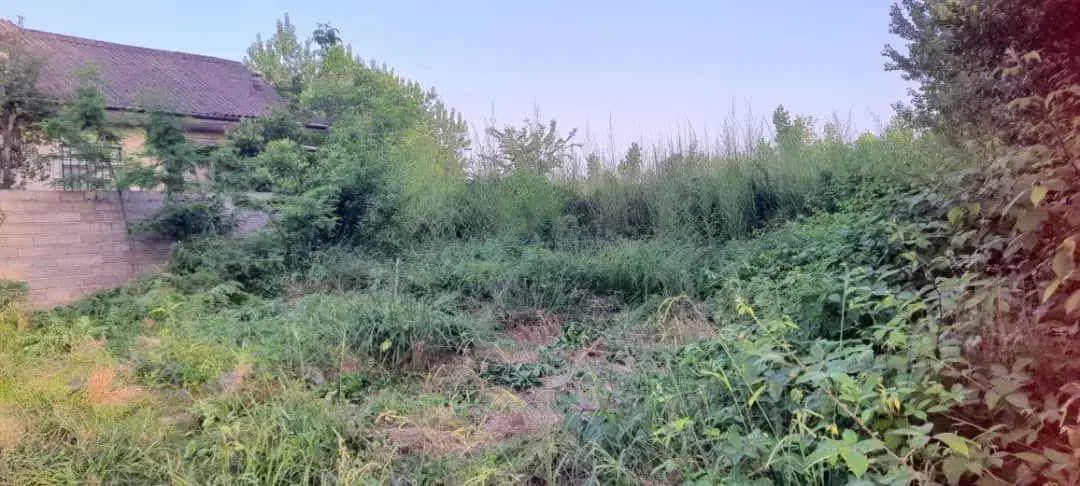 فروش ۵۲۰ متر زمین مسکونی دریاسر|فروش زمین و ملک کلنگی|شلمان, |دیوار