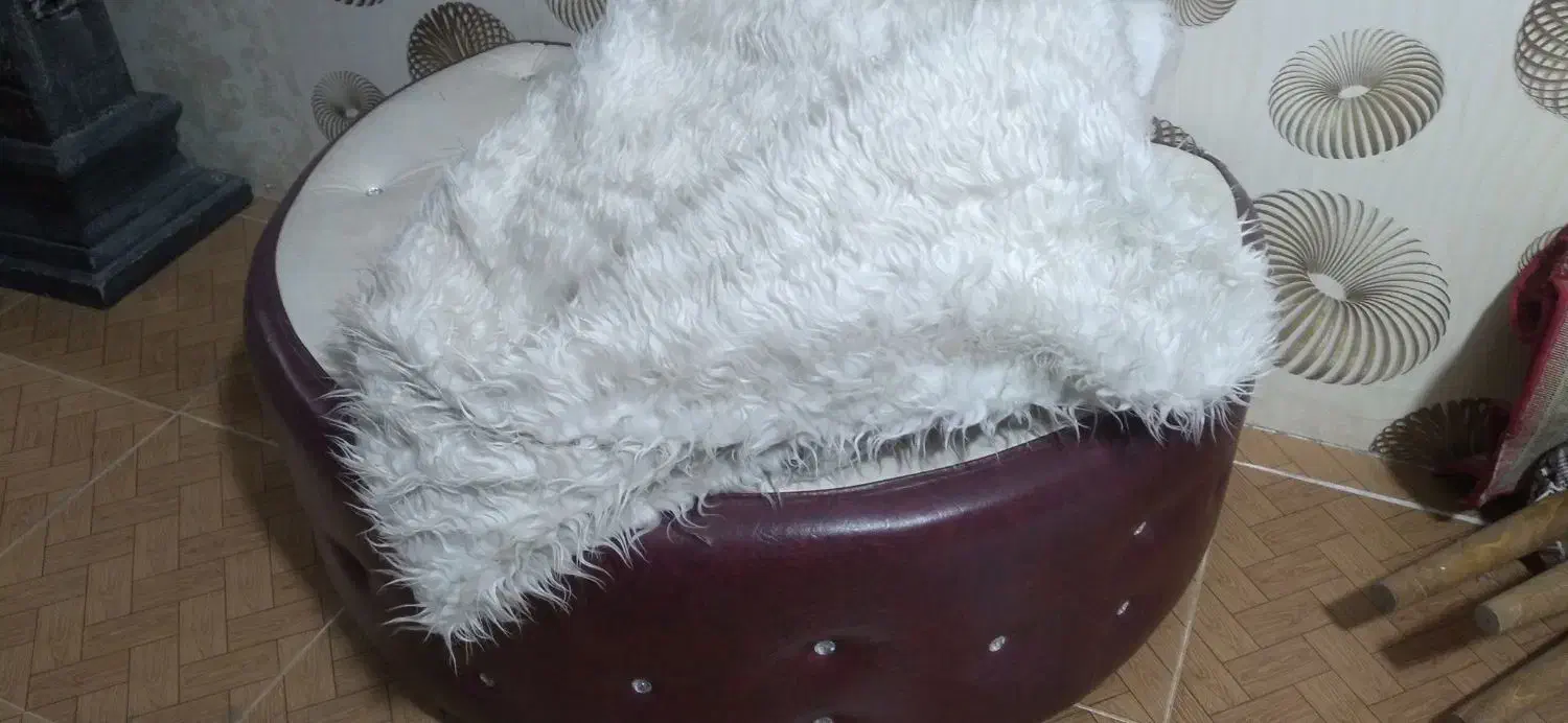 وسیله آتلیه|دوربین عکاسی و فیلمبرداری|رفسنجان, |دیوار