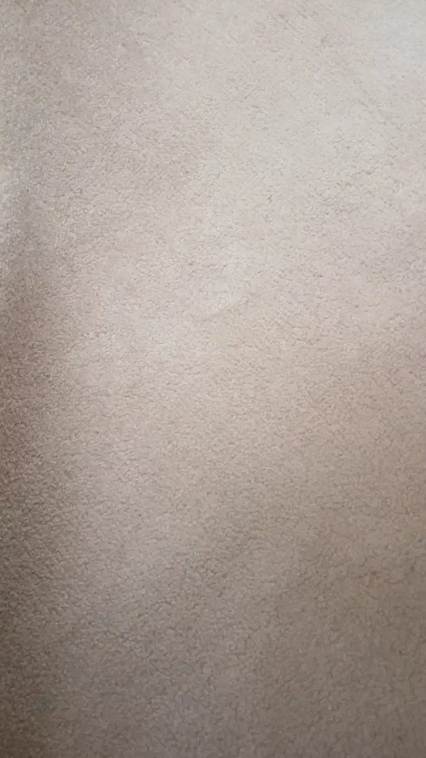موکت پالاز کرم رنگ|موکت|کرمانشاه, |دیوار
