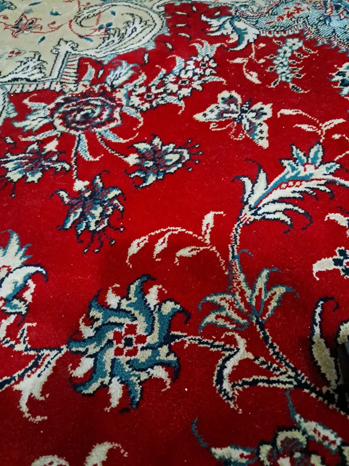 ملک|فعالیت داوطلبانه تحقیقاتی|شهرضا, |دیوار