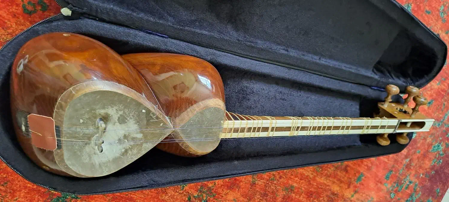 تار زیبای استاد محمد حاتمی|سازهای سنتی|کازرون, |دیوار