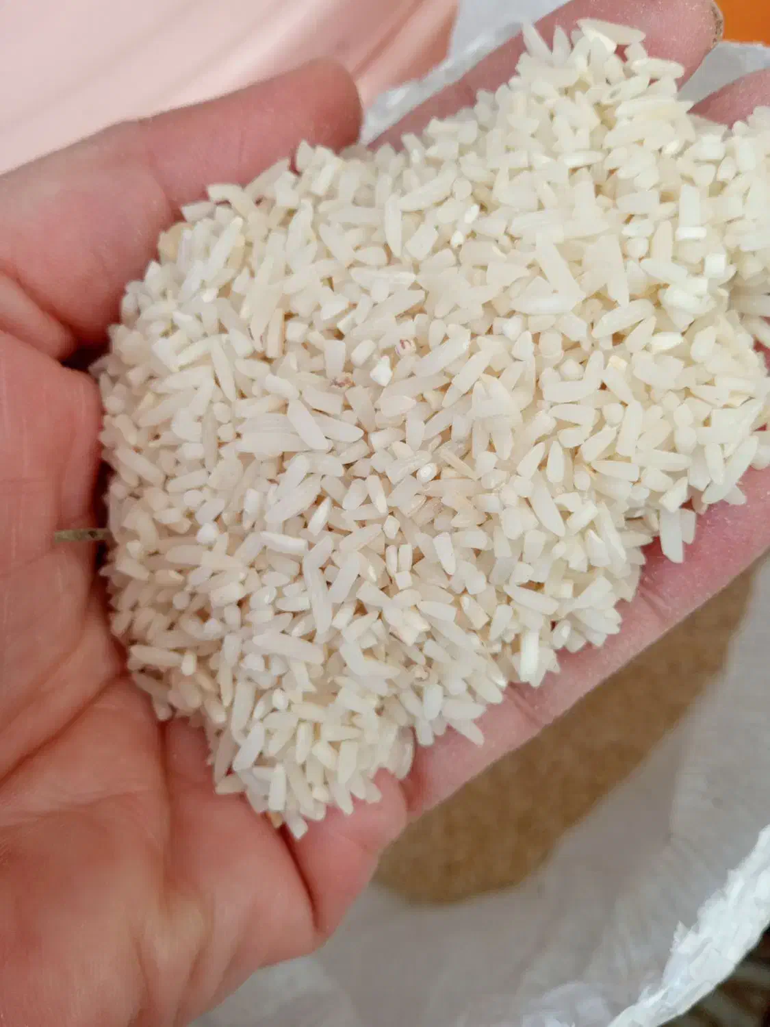 لاشه هاشمی|خوردنی و آشامیدنی|رشت, استقامت ۲|دیوار