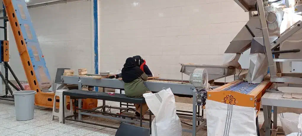 کارگر خانم|استخدام صنعتی، فنی، مهندسی|قمرود, |دیوار