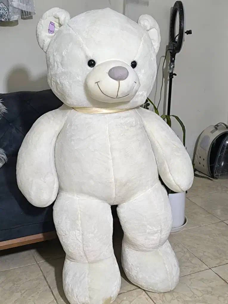 عروسک|اسباب‌بازی بچه|صدرا-فارس, فاز ۲|دیوار