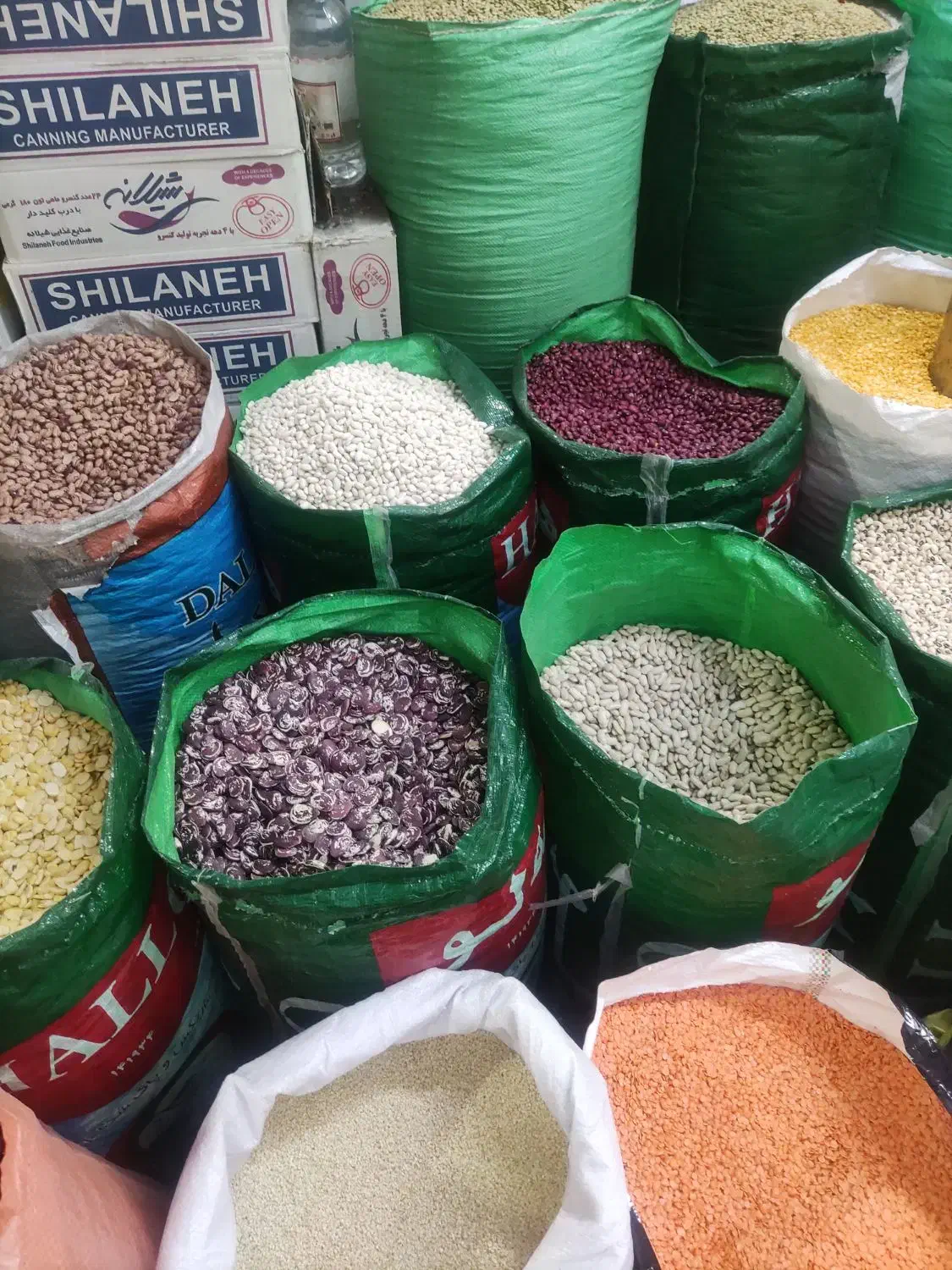 مایتجاج ضرروی به خانواده بی بضاعت|فعالیت داوطلبانه|ری, اقدسیه|دیوار