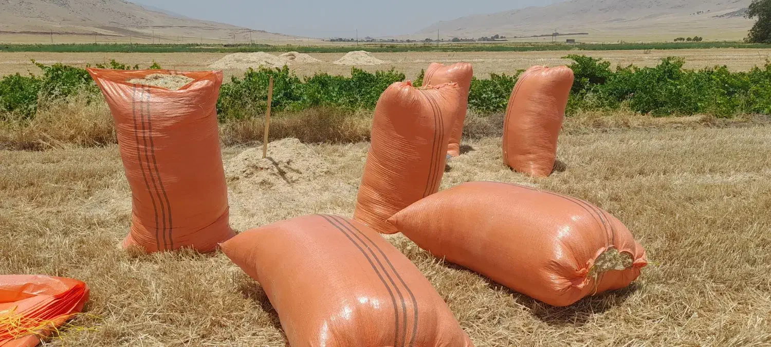 کاه تحویلی اطراف کرج و تهران و شمال|لوازم جانبی حیوانات|هشتگرد, شهرک ریحانه|دیوار