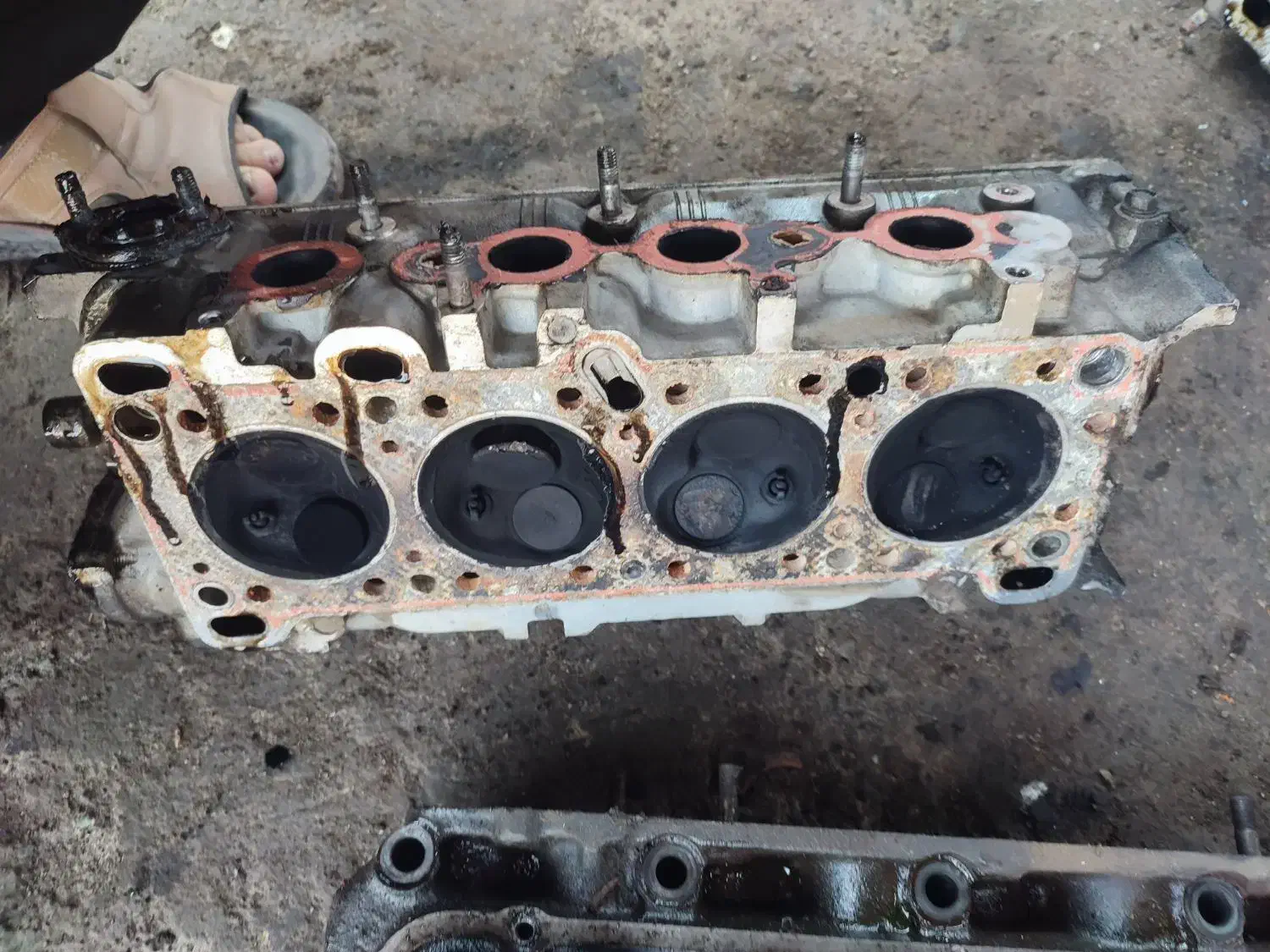 پراید پیکان اردی|قطعات یدکی و لوازم جانبی|رباطکریم, رباطکریم|دیوار