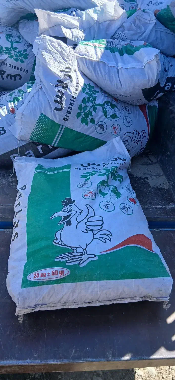 کودمرغی به قیمت عمده|عمده‌فروشی|شاهیوند, |دیوار