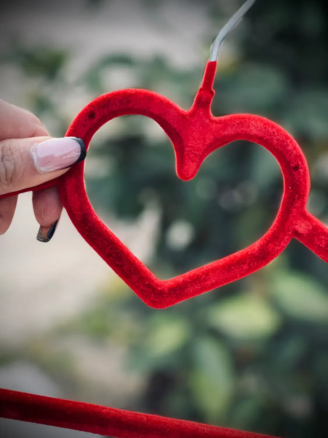 چوب لباسی|بندرخت و رختآویز|لاهیجان, گلستان|دیوار