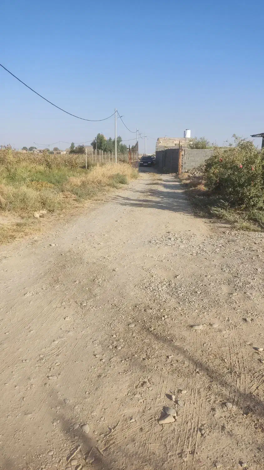 زمین باغ|فروش زمین و ملک کلنگی|قم, محمد آباد|دیوار