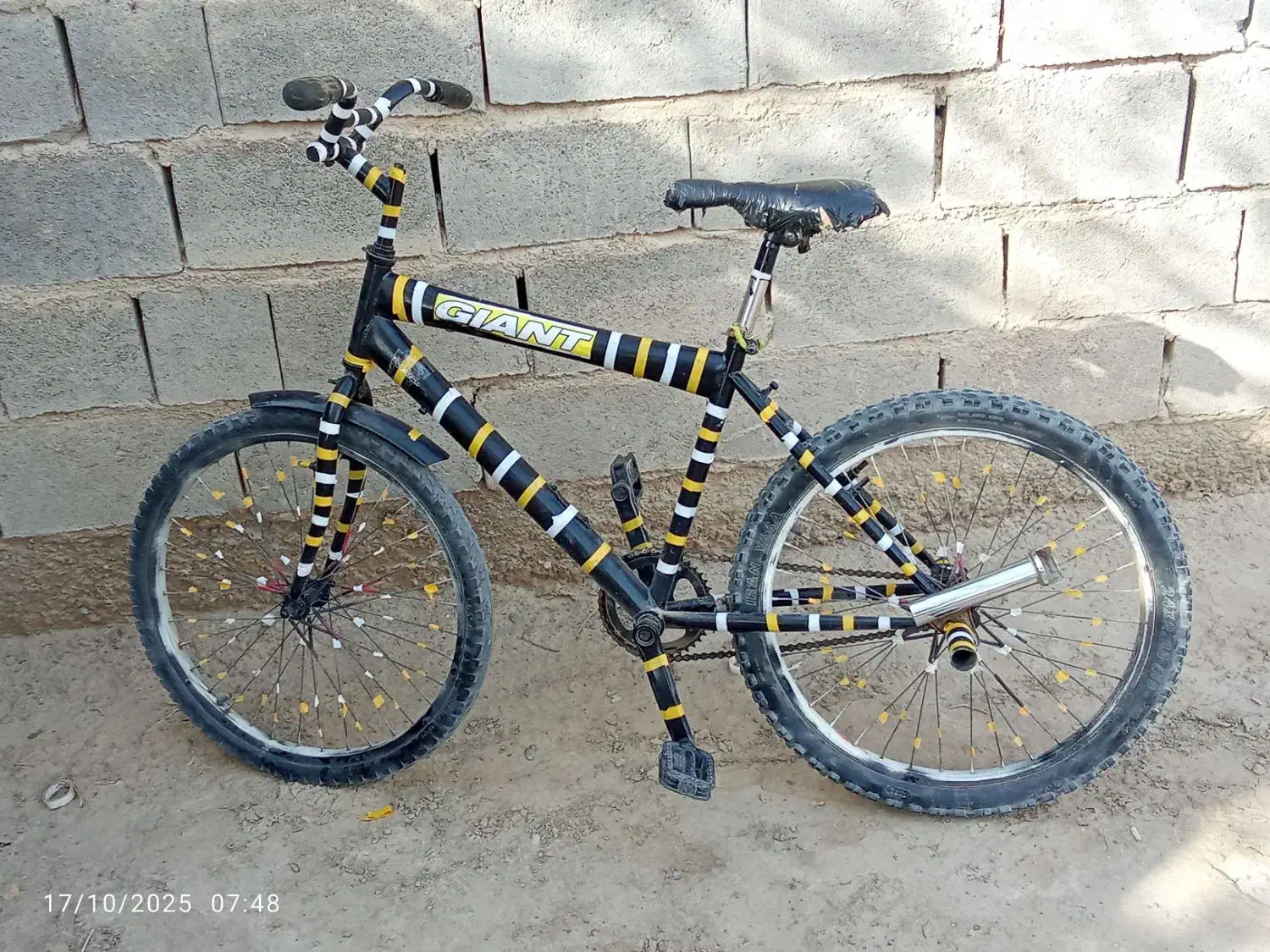 دوچرخه|دوچرخه، اسکیت، اسکوتر|زابل, |دیوار