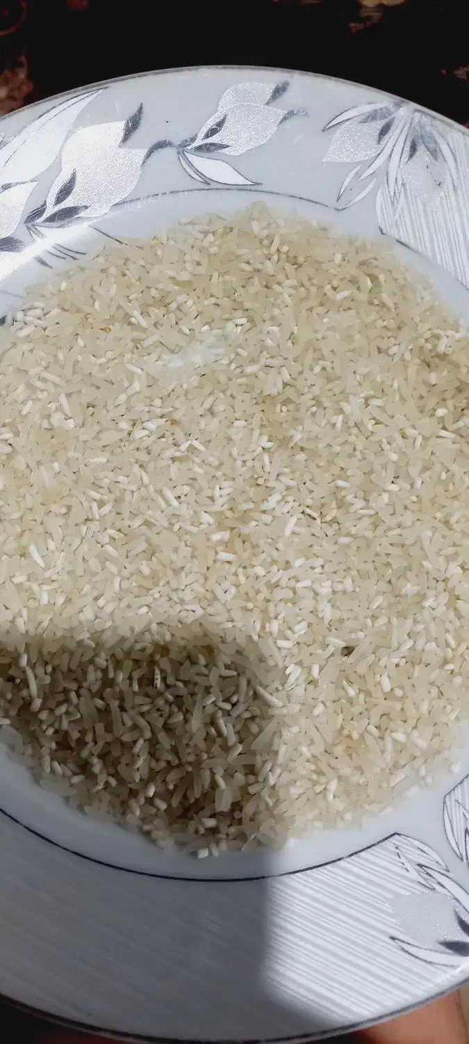 برنج فجر سوزنی|خوردنی و آشامیدنی|سنگدوین, |دیوار