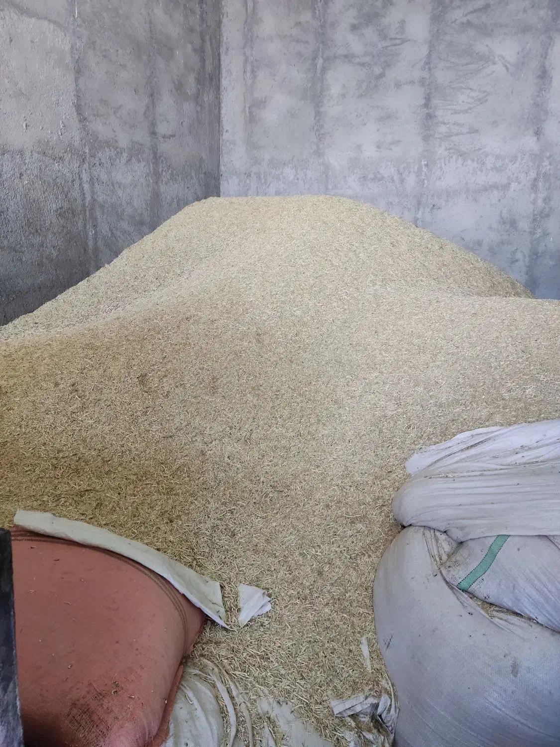 فروش کاه گندم دیم|لوازم جانبی حیوانات|کنگاور, |دیوار