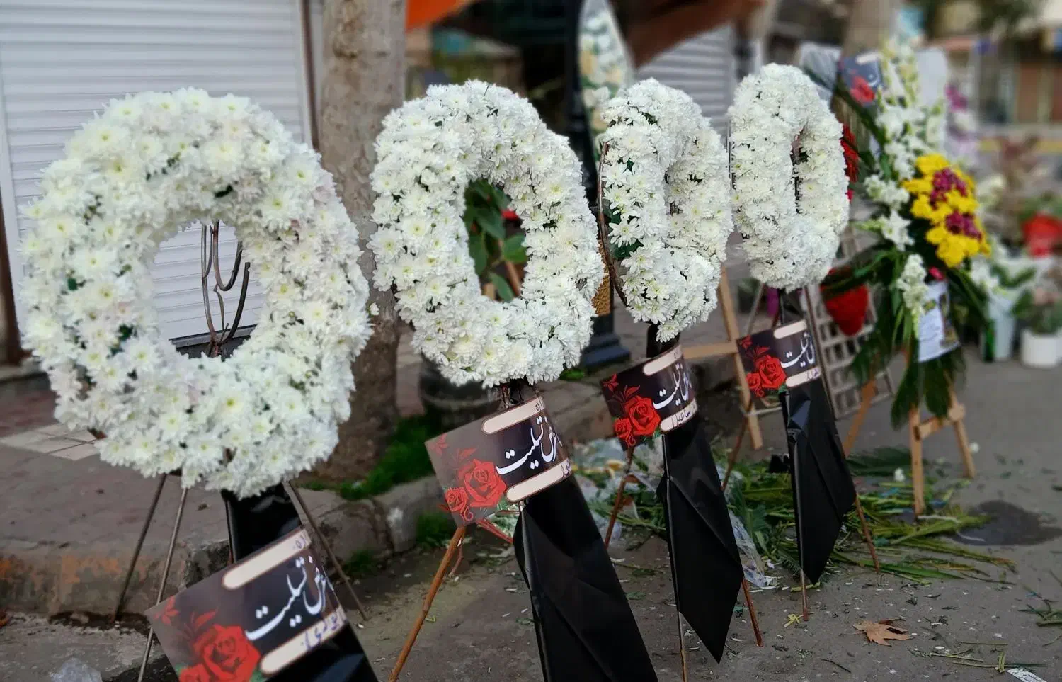 ماشین عروس تاج ترحیم باکس گل زیر قیمت|گل و گیاه طبیعی|لنگرود, |دیوار