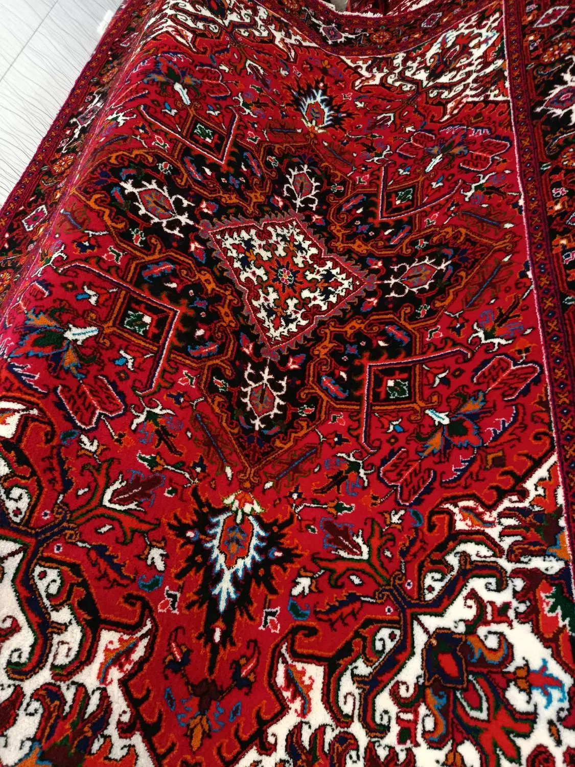 جفت فرش 6متری الوار هریس|فرش|بناب, |دیوار