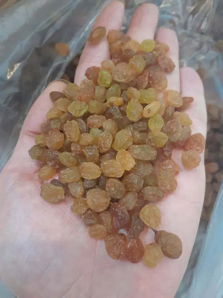 کشمش پلویی درجه ۱|خوردنی و آشامیدنی|شیراز, هفت تنان|دیوار