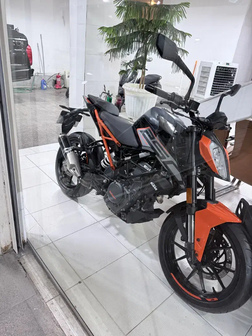 کی تی ام دوک ۲۵۰|موتورسیکلت|شیراز, ارم|دیوار