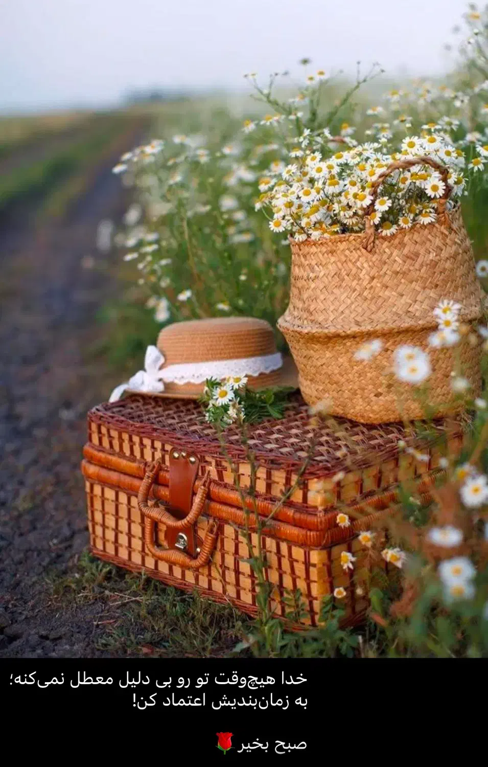 منشی مطب-پاره وقت-بندرترکمن|استخدام درمانی، زیبایی، بهداشتی|بندر ترکمن, |دیوار