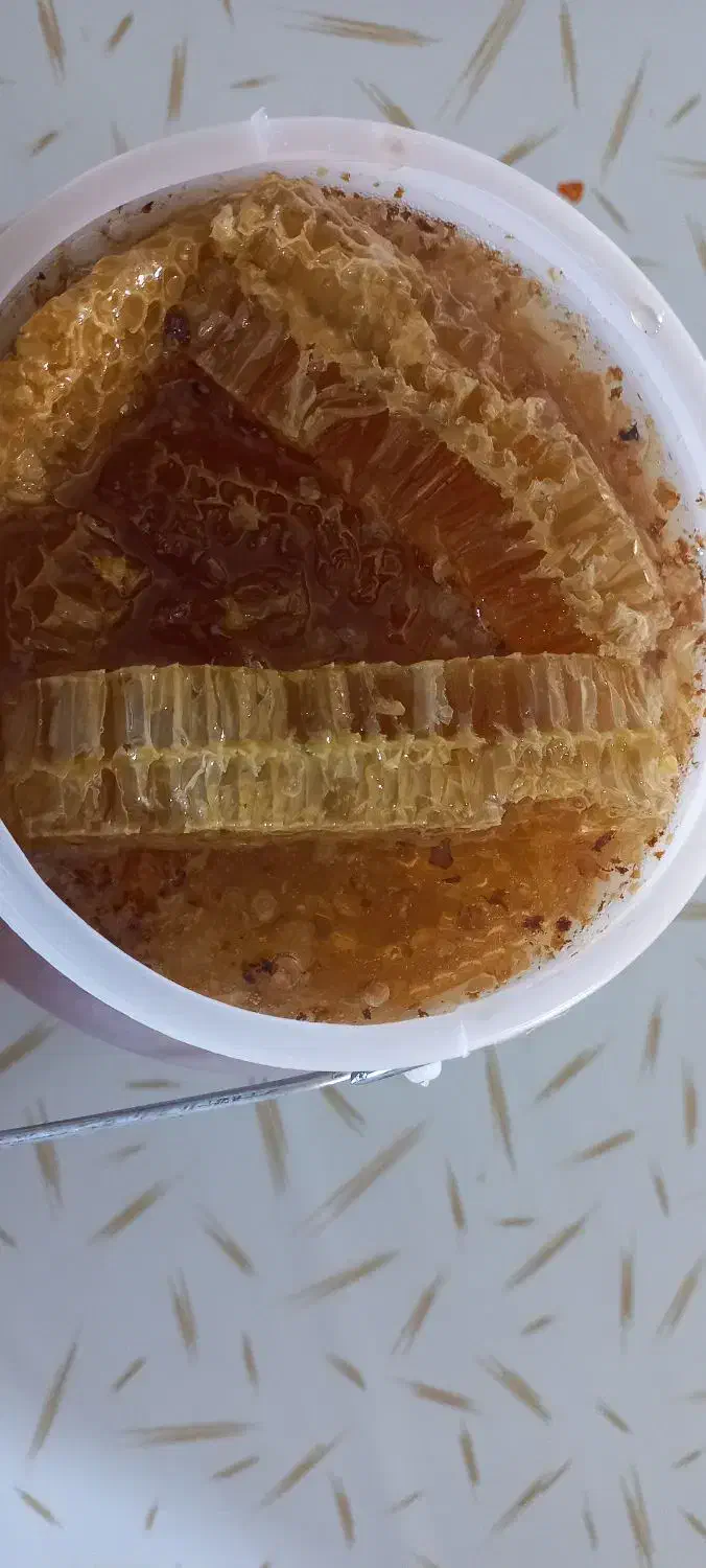 عسل طبیعی|خوردنی و آشامیدنی|یاسوج, |دیوار