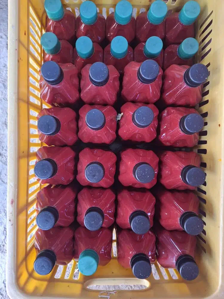 رب فلفلی سیری|خوردنی و آشامیدنی|شیراز, ابیوردی|دیوار