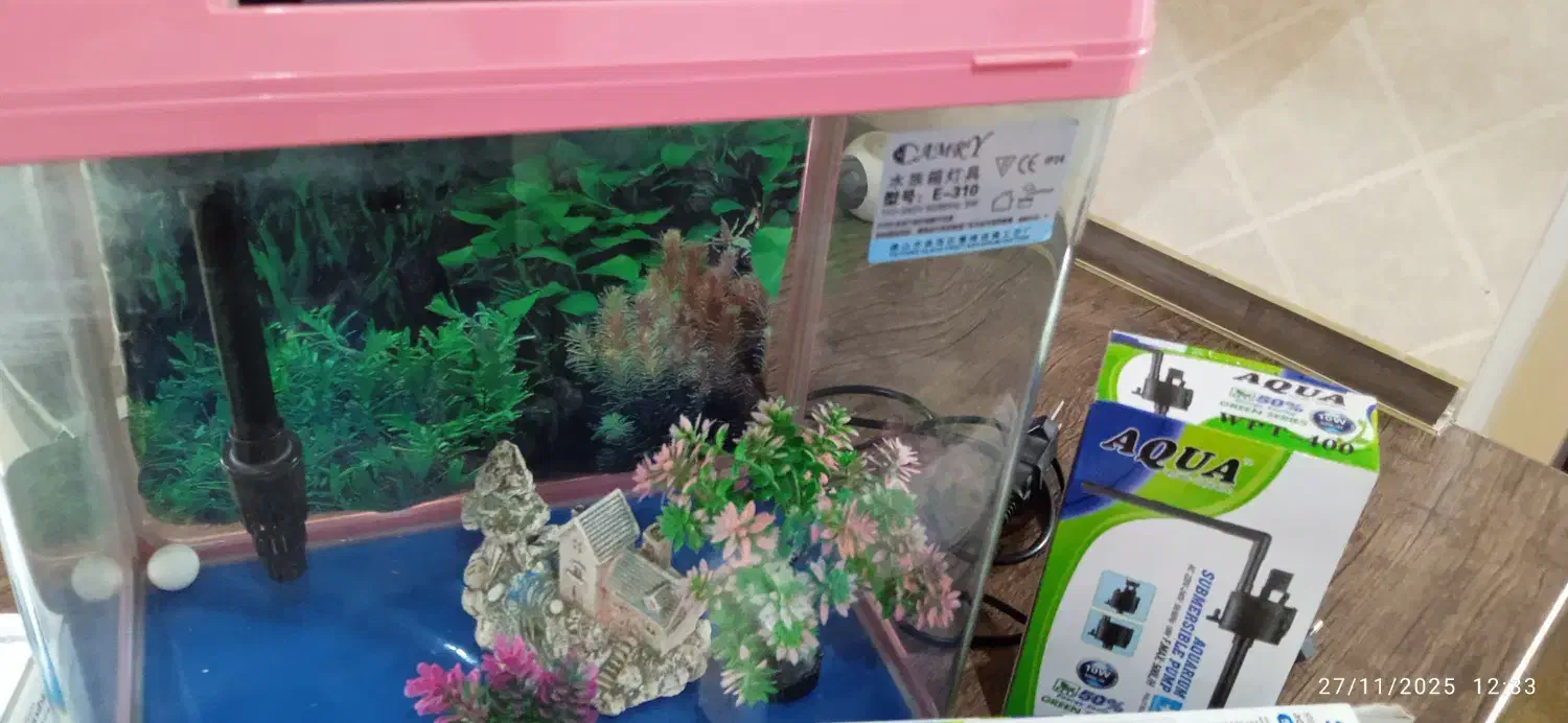 آکواریوم رومیزی کمری اصل|ماهی|تهران, قاسمآباد|دیوار