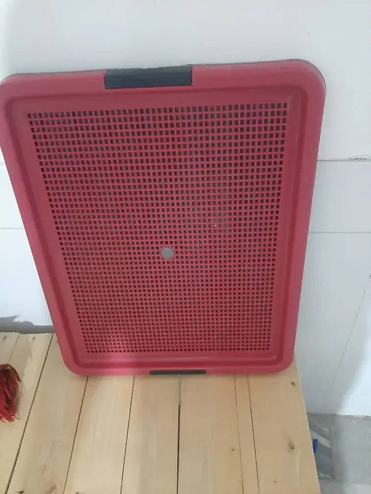 سینی ادرار حیوانات|لوازم جانبی حیوانات|دلیجان, |دیوار