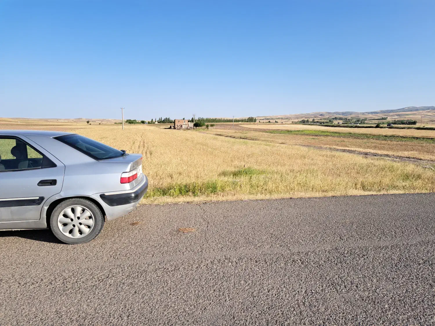 زمین ۶۴۵۰متر بر جاده اصلی|فروش دفتر صنعتی، کشاورزی، تجاری|ثمرین, |دیوار