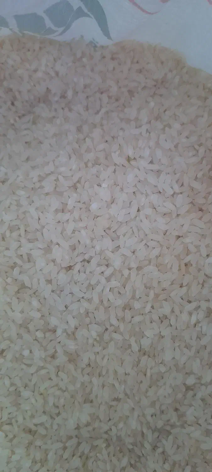 برنج کامفیروزی اصل|خوردنی و آشامیدنی|شیراز, فرگاز|دیوار