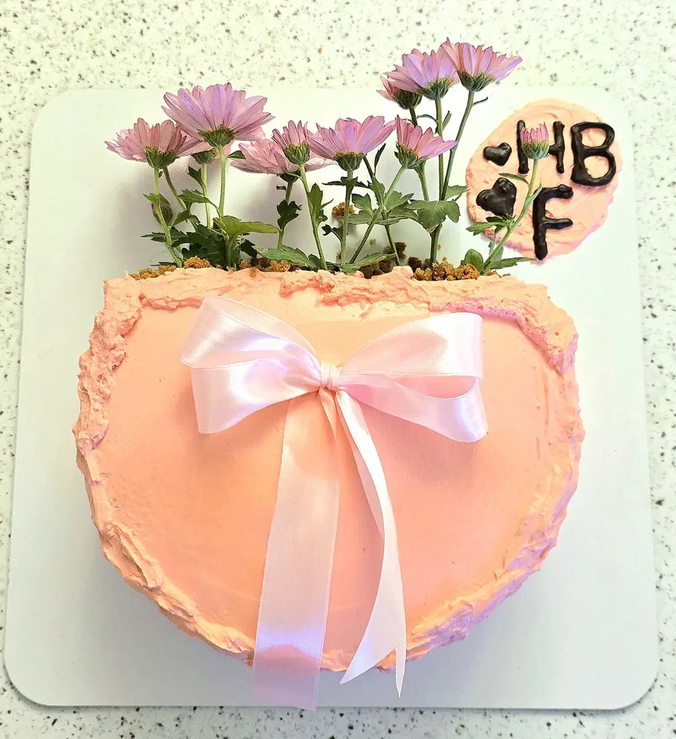 کیک خامهای|خوردنی و آشامیدنی|بابلسر, |دیوار