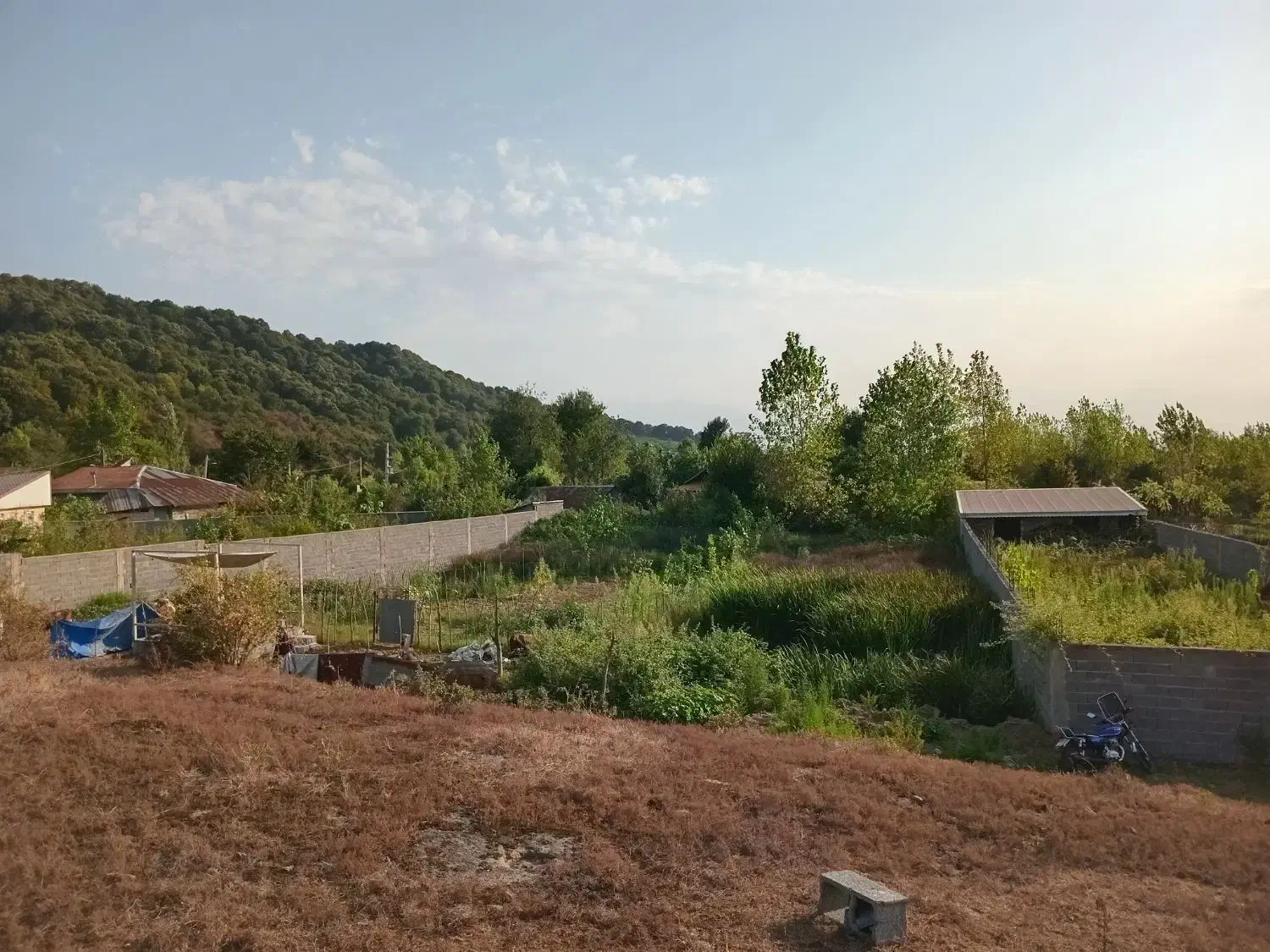 زمین|فروش زمین و ملک کلنگی|شفت, |دیوار