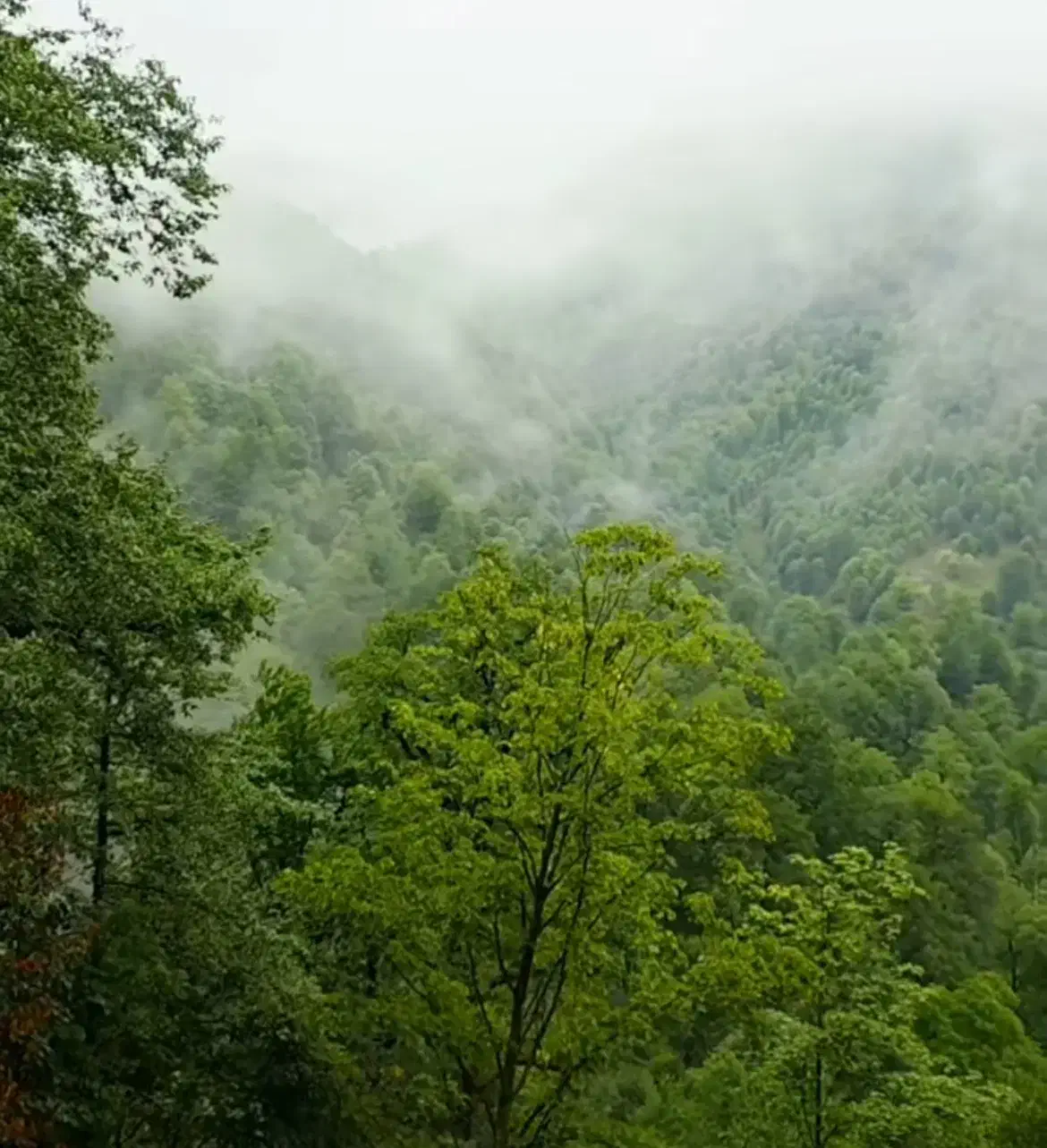 تور یه روزه ی خانومانه|تور و چارتر|تهران, زرکش|دیوار