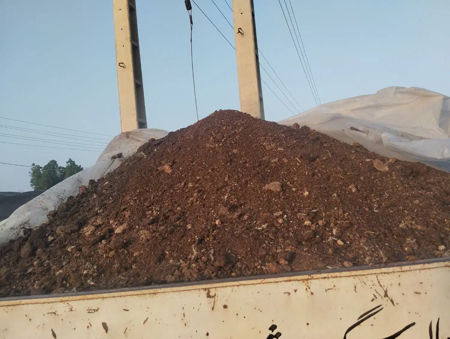 کود  مرغ موجود است|گل و گیاه طبیعی|جیرفت, |دیوار