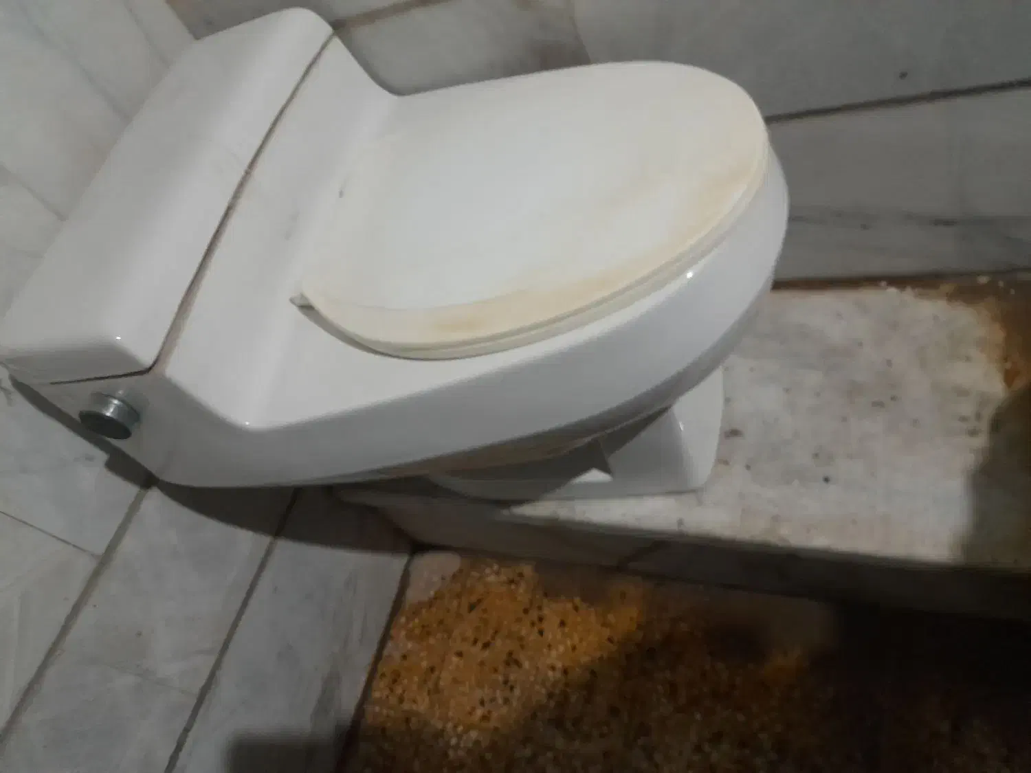 دستشویی فرنگی|لوازم سرویس بهداشتی|بندر ماهشهر, |دیوار