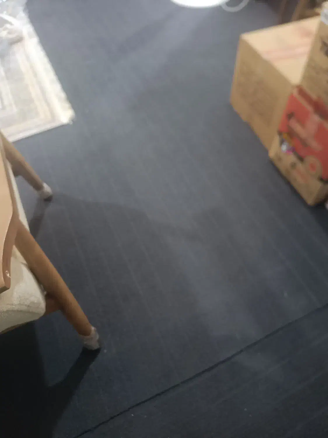 موکت کاملا نو|موکت|برازجان, |دیوار