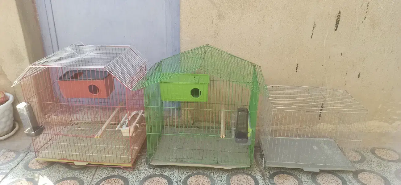 قفس|لوازم جانبی حیوانات|یاسوج, |دیوار