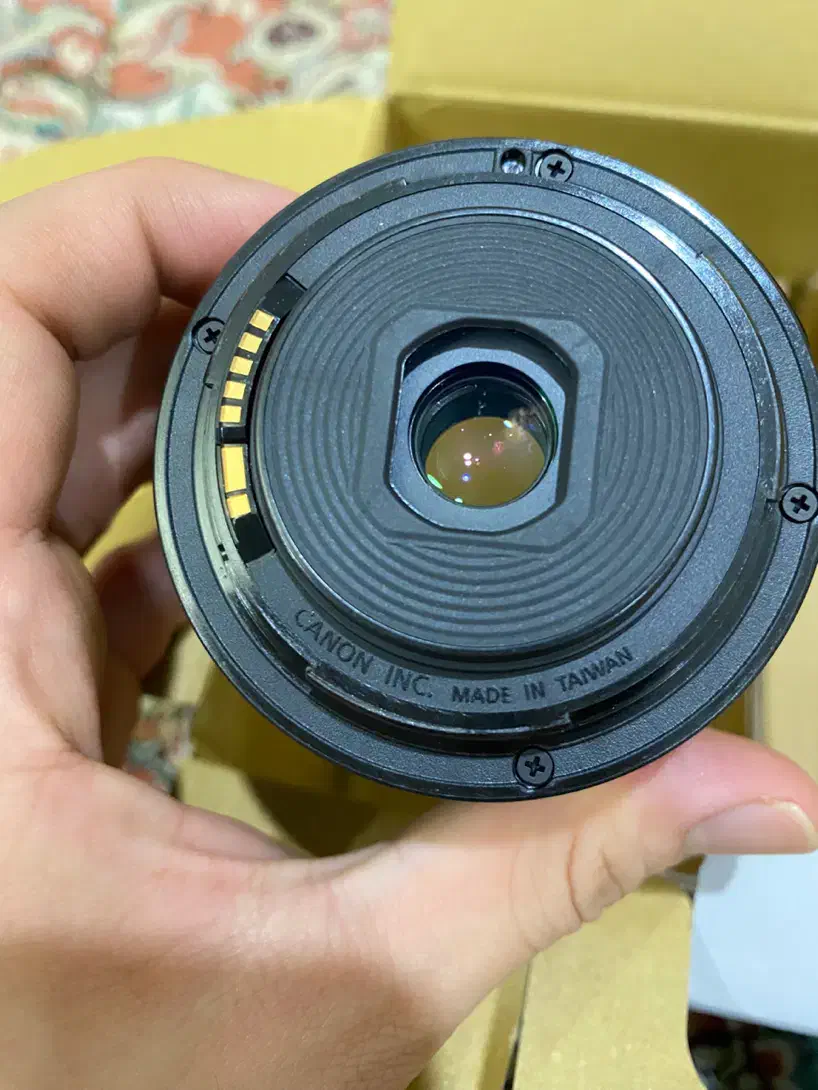 دوربین عکاسی کانن Canon EOS 250D Kit EF-S-55|دوربین عکاسی و فیلم‌برداری|لاهیجان, شیشه گران|دیوار